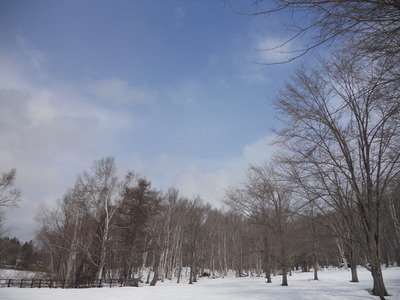 a0191728_8292468.jpg