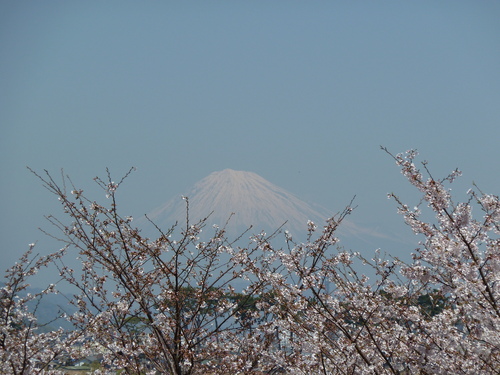 e0033229_19521033.jpg
