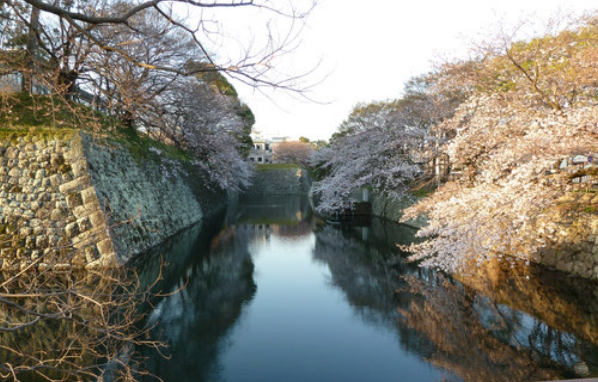e0033229_6524285.jpg