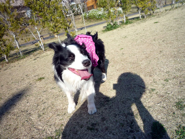 d0059230_13132358.jpg