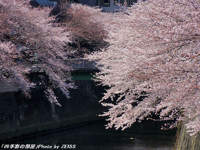a0195032_2235277.jpg