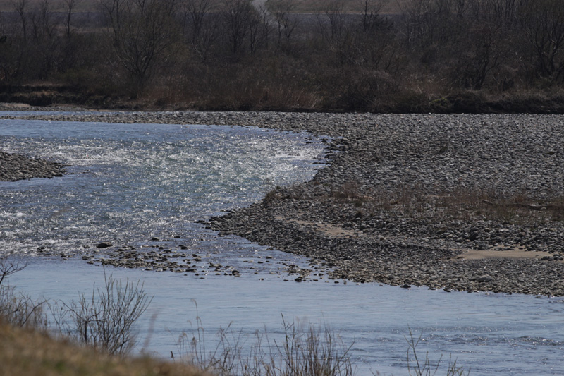 b0177233_5455555.jpg