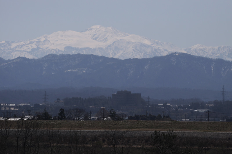 b0177233_5463631.jpg