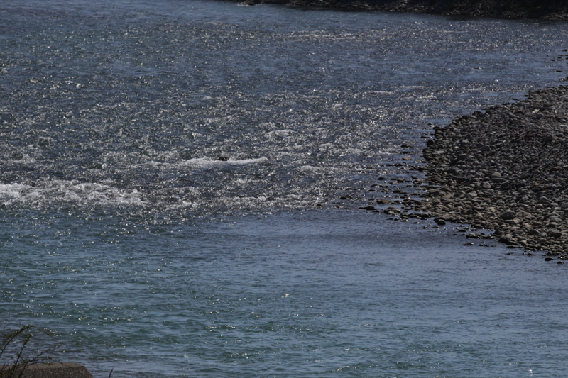 b0177233_5465243.jpg
