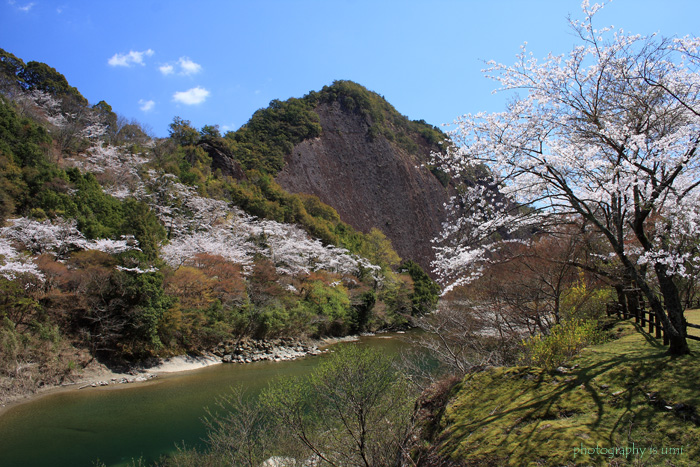 e0083238_2310682.jpg