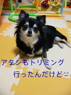 c0121141_0155068.jpg