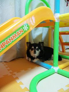 c0121141_038488.jpg