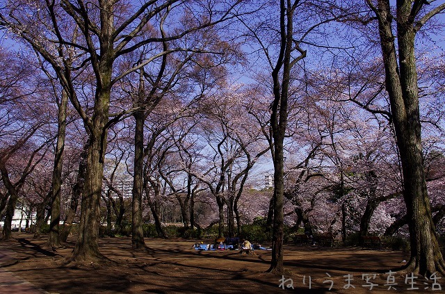 a0009142_2139345.jpg
