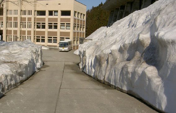 e0221442_22573764.jpg