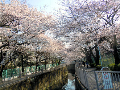 c0033145_0291028.jpg