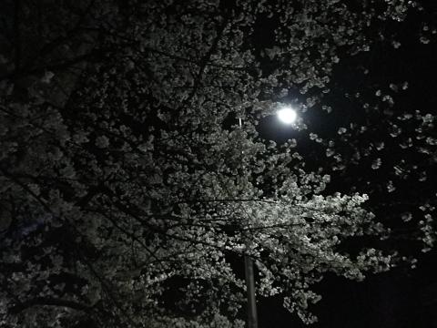 a0150848_77967.jpg