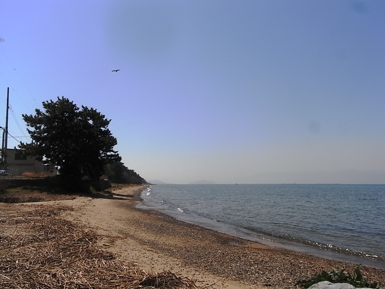 f0178153_138261.jpg
