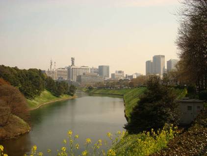 a0124556_9574329.jpg