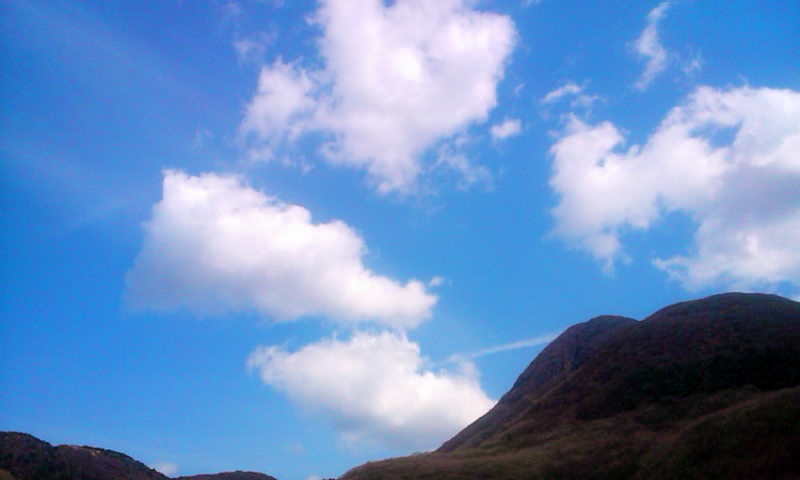 b0164959_21332857.jpg