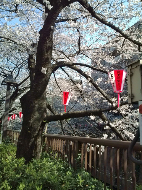e0116960_20113052.jpg