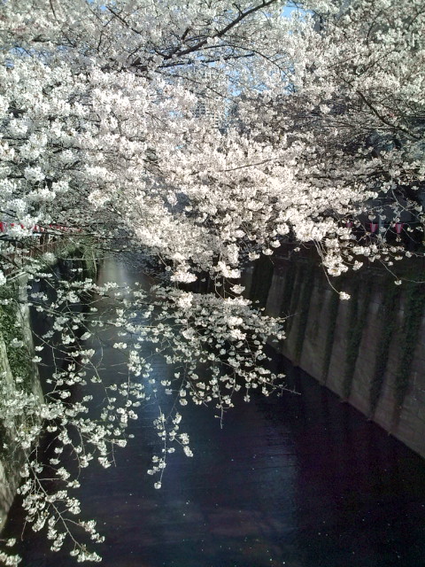 e0116960_201138.jpg