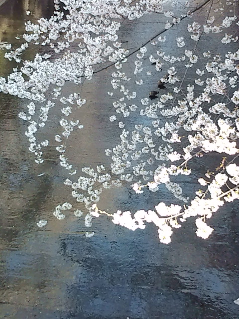 e0116960_20124784.jpg