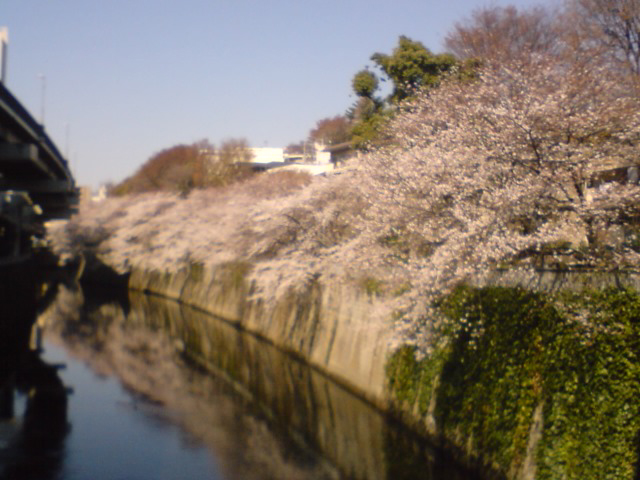 a0083273_16125627.jpg