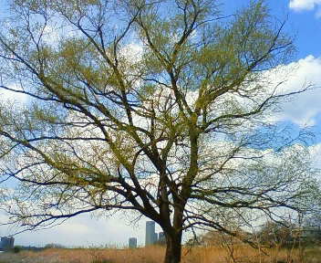 e0037673_22143634.jpg