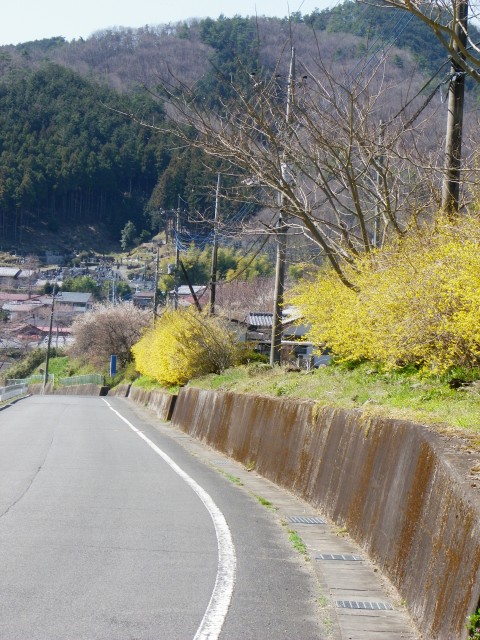 b0004675_1747844.jpg