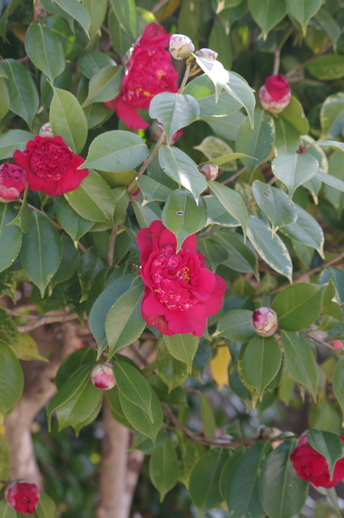 f0054677_752461.jpg