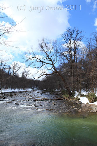 c0195281_7501784.jpg