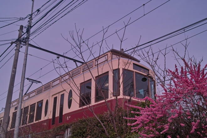 b0160184_2213441.jpg