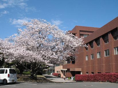 e0130185_160219.jpg