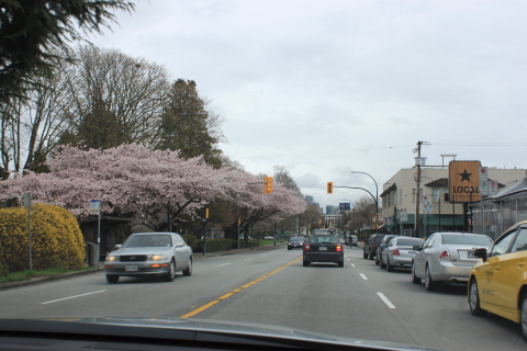 d0129786_14135037.jpg