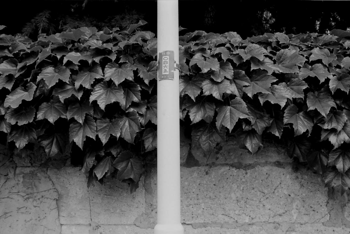 e0025893_0213179.jpg