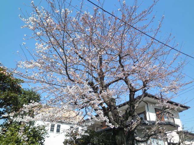 f0130894_2212662.jpg