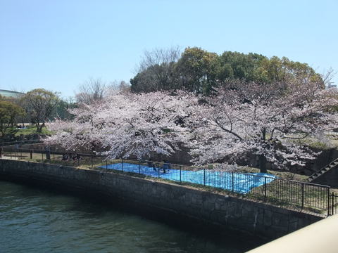 b0044296_19104848.jpg