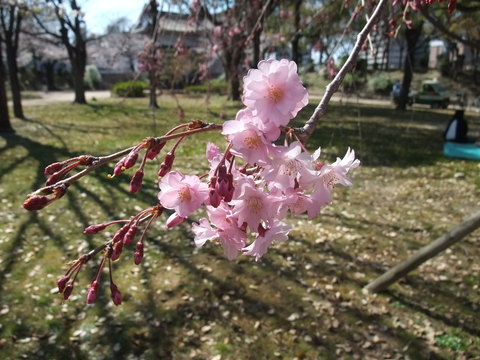 b0044296_19321795.jpg