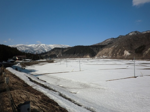 a0138198_9393179.jpg