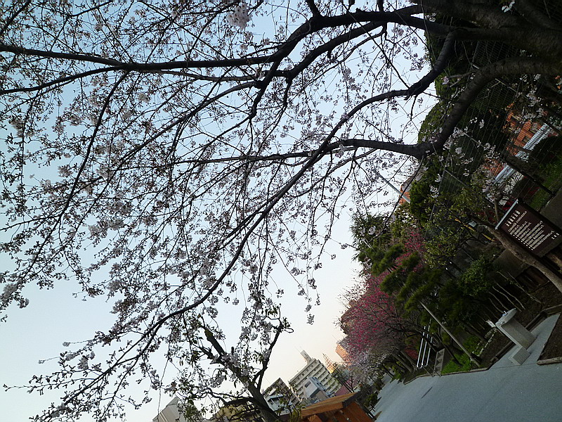 c0138198_11245592.jpg