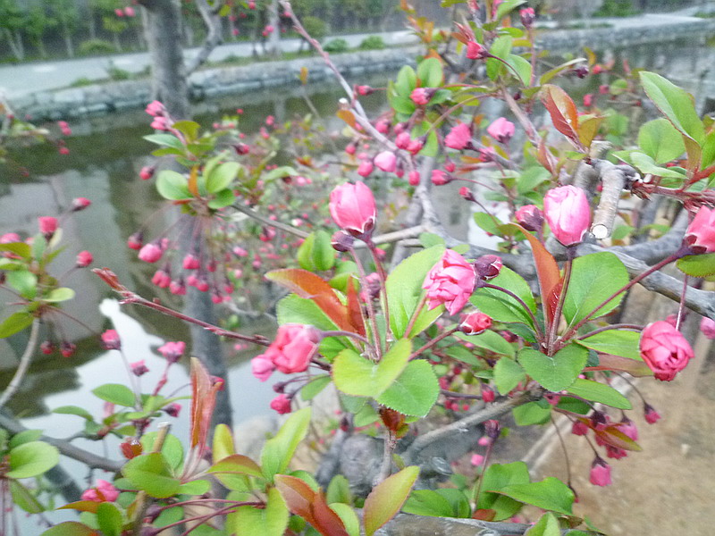 c0138198_1137754.jpg