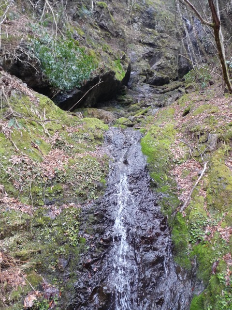 b0025101_0275094.jpg