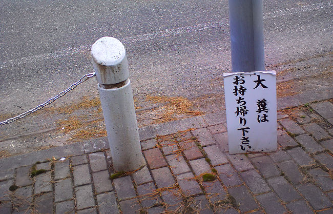 c0165101_17314970.jpg
