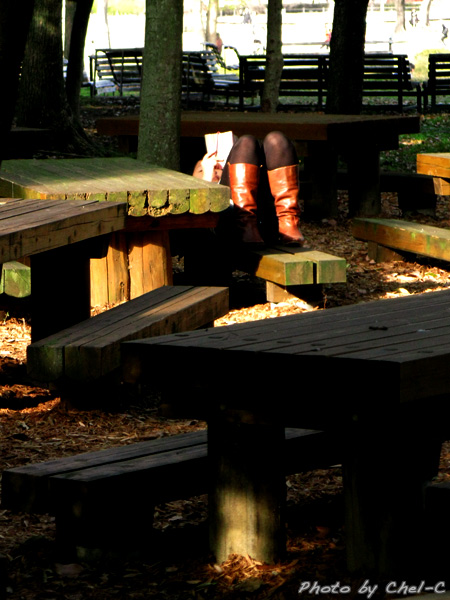 a0154706_2322950.jpg
