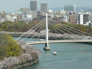 b0043506_172274.jpg