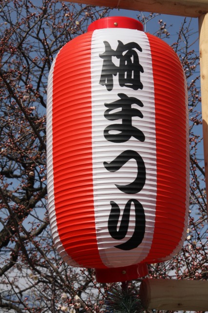f0039907_1250399.jpg