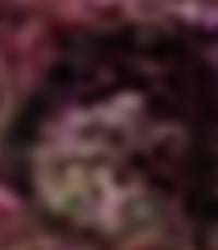 e0103408_14573422.jpg