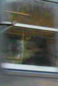 e0103408_15233376.jpg