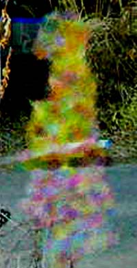 e0103408_15341597.jpg