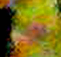 e0103408_15343043.jpg