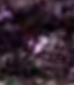 e0103408_1562765.jpg