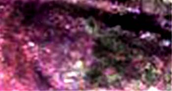 e0103408_1564221.jpg