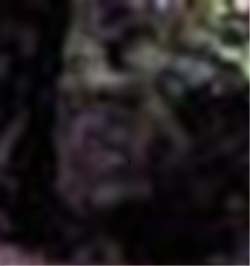 e0103408_157376.jpg