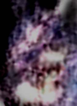 e0103408_19393064.jpg