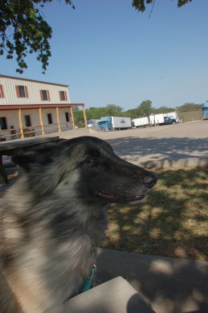 f0227709_12442395.jpg